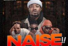 DJ Joe Brown ft. T Sean x J.C Kalinks x Y Celeb – Naise