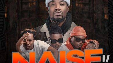 DJ Joe Brown ft. T Sean x J.C Kalinks x Y Celeb – Naise