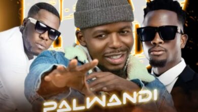 Miles Came Along Ft. Chile One & JK – Palwandi Mp3 Download